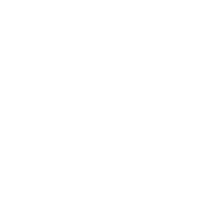 shane certified 2025